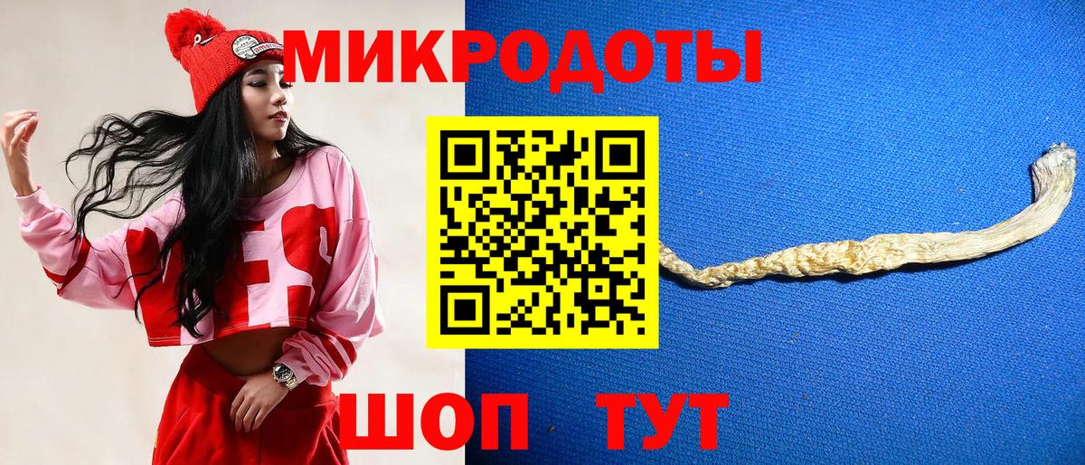 Галлюциногенные грибы Psilocybine cubensis  Вход с VPN  Балашов 